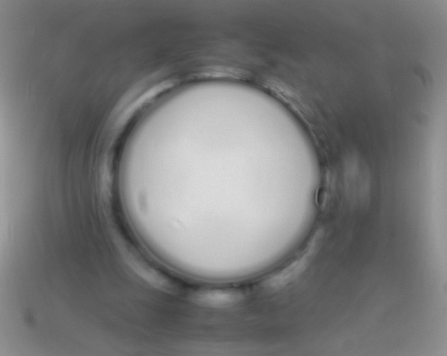 X0000113620247200910161959