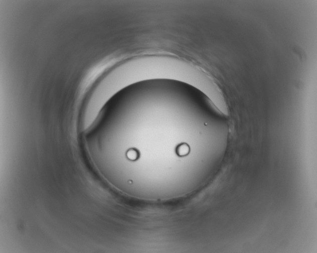 X0000113620248200910161959