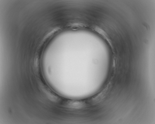 X0000113620249200910161959