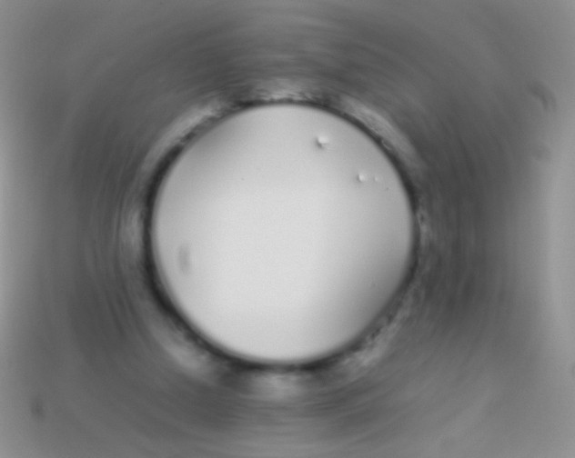 X0000113620250200910161959