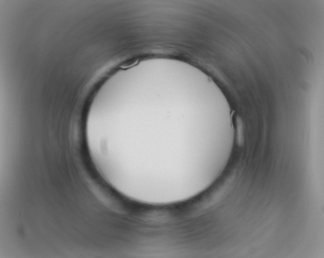 X0000113620252200910161959