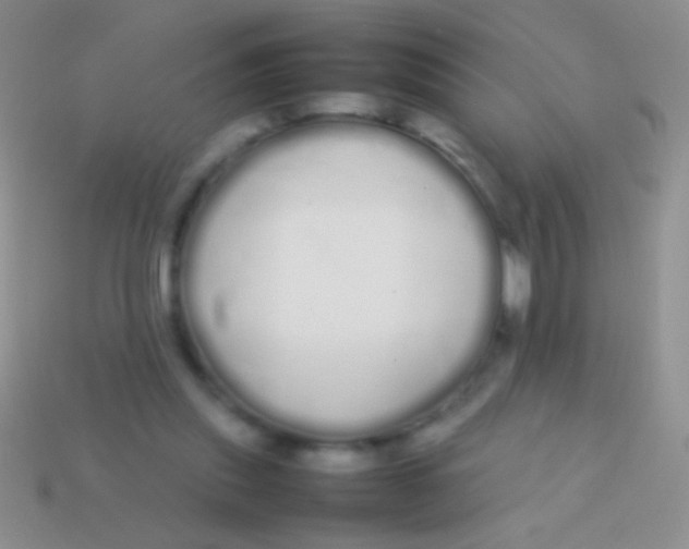 X0000113620253200910161959