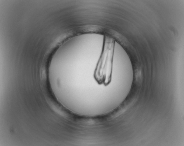 X0000113620254200910161959