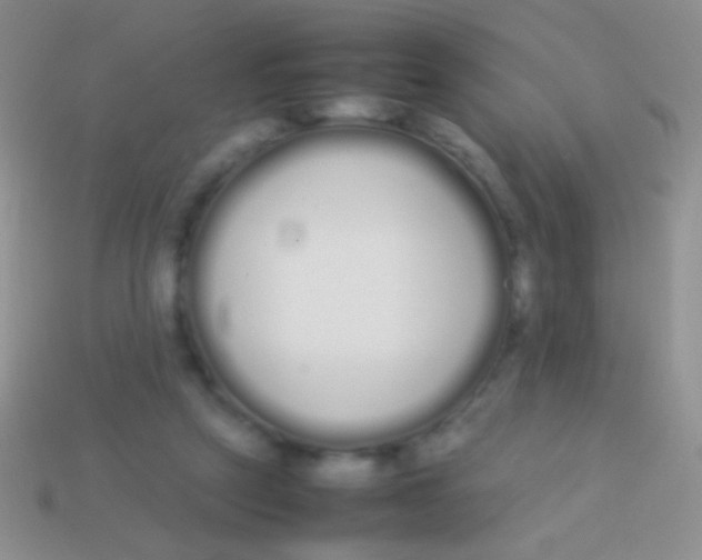 X0000113620257200910161959