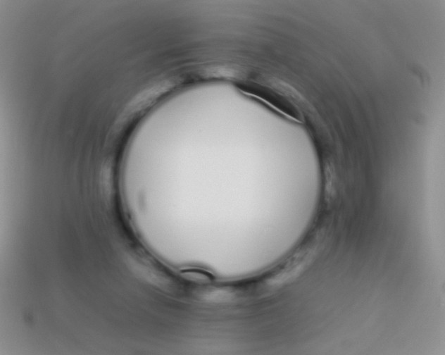 X0000113620258200910161959