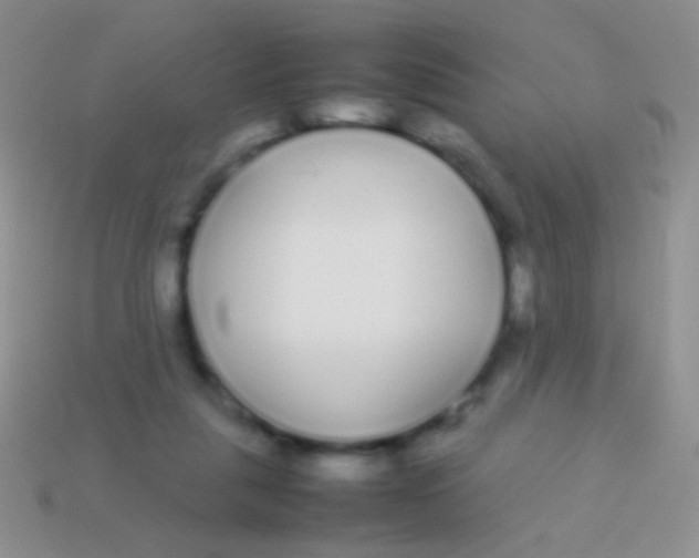 X0000113620259200910161959