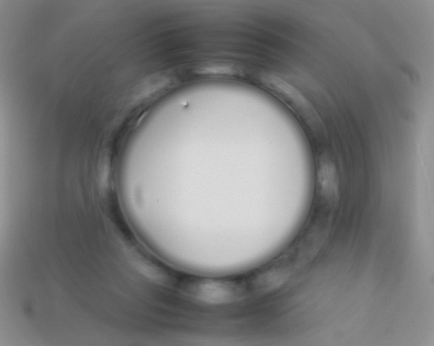 X0000113620261200910161959