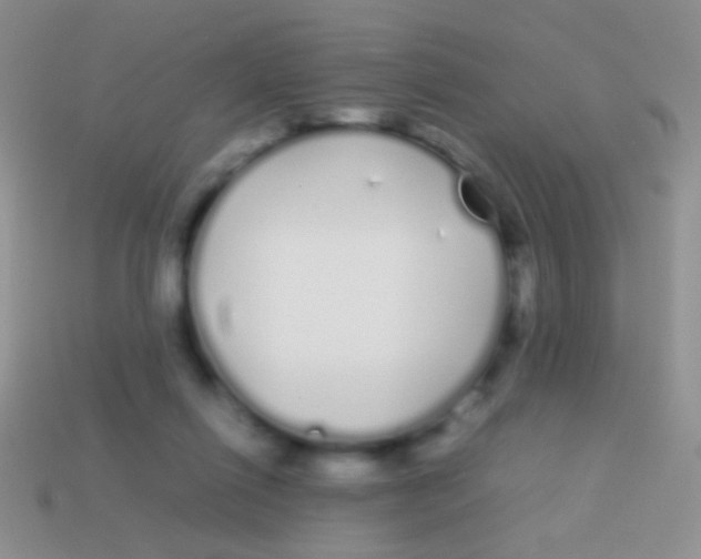 X0000113620262200910161959