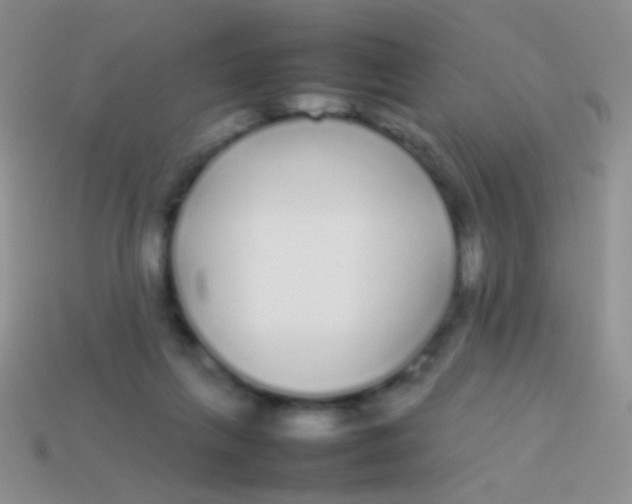 X0000113620263200910161959