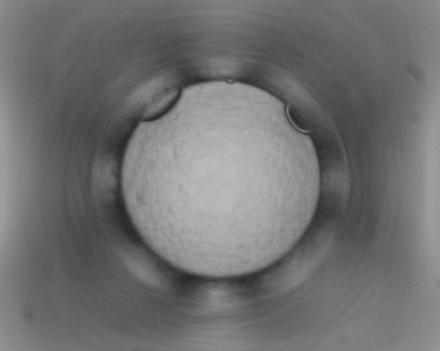 X0000113620264200910161959