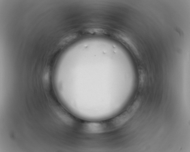 X0000113620265200910161959
