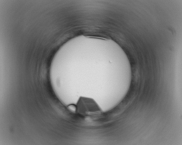 X0000113620266200910161959