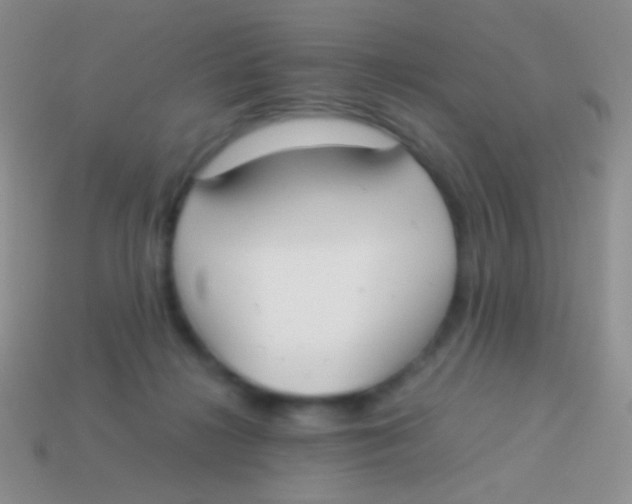 X0000113620268200910162000