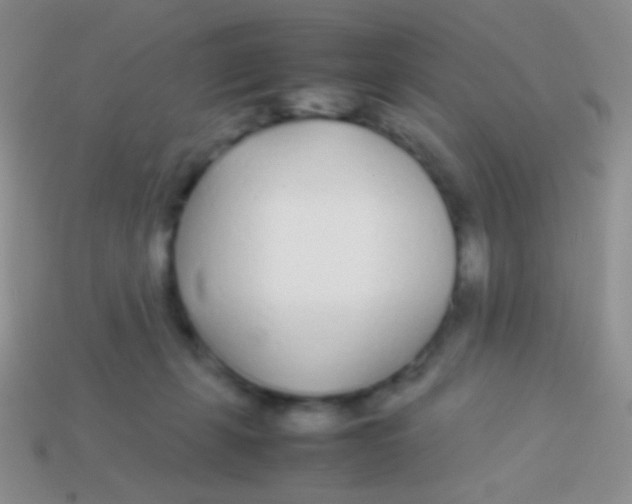 X0000113620271200910162000