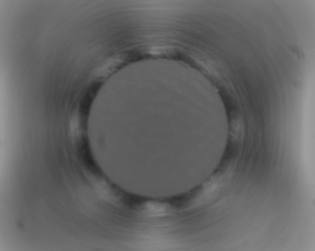 X0000113620272200910162000