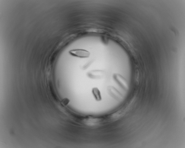 X0000113620273200910162000