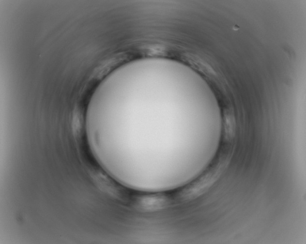X0000113620274200910162000