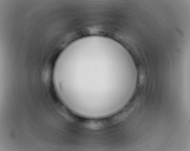 X0000113620275200910162000