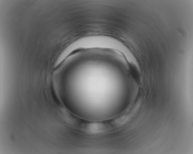 X0000113620277200910162000