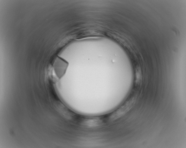 X0000113620278200910162000