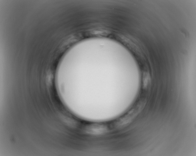 X0000113620279200910162000