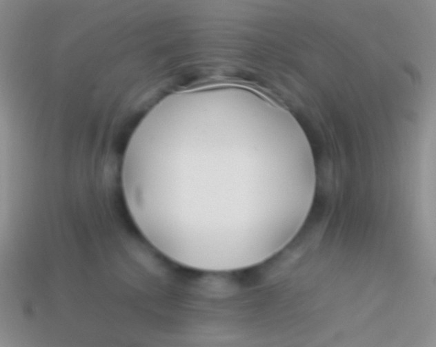 X0000113620280200910162000