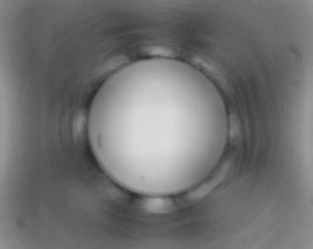 X0000113620281200910162000