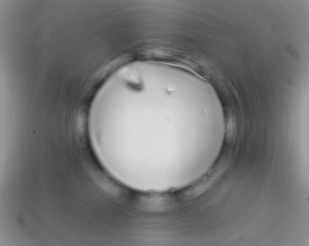 X0000113620282200910162000