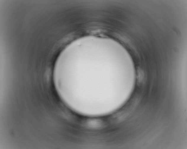 X0000113620283200910162000