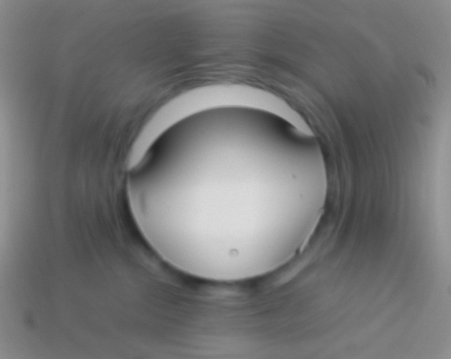 X0000113620284200910162000