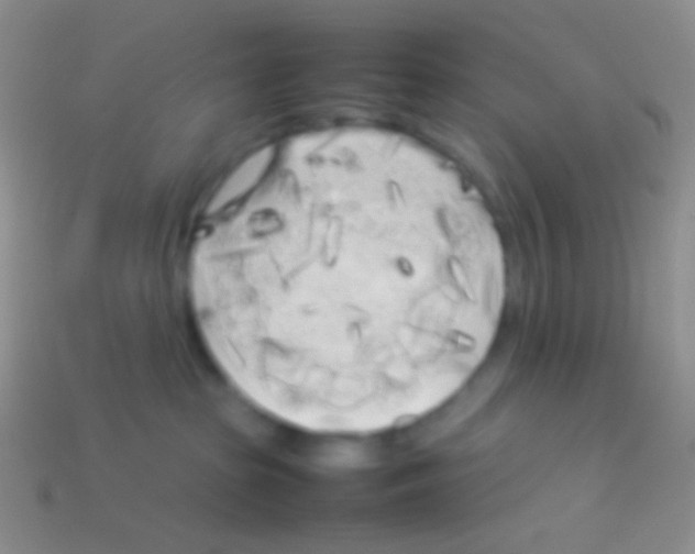 X0000113620285200910162000