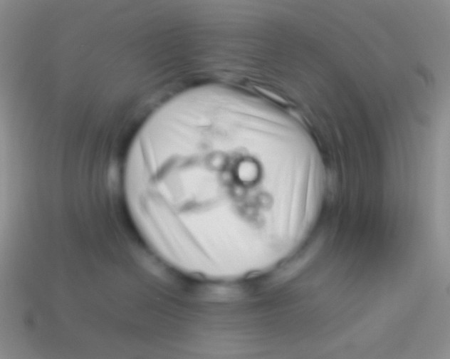 X0000113620286200910162000