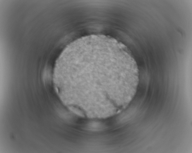 X0000113620287200910162000