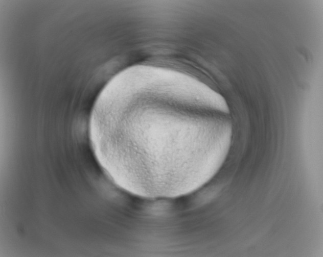 X0000113620288200910162000