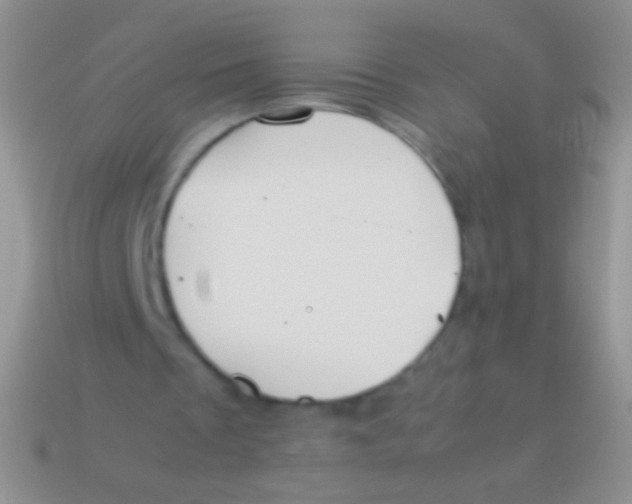 X0000113620289200910161959