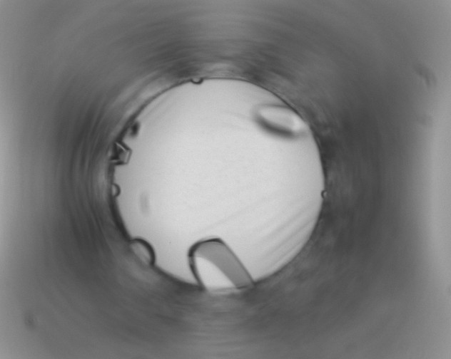 X0000113620290200910161959
