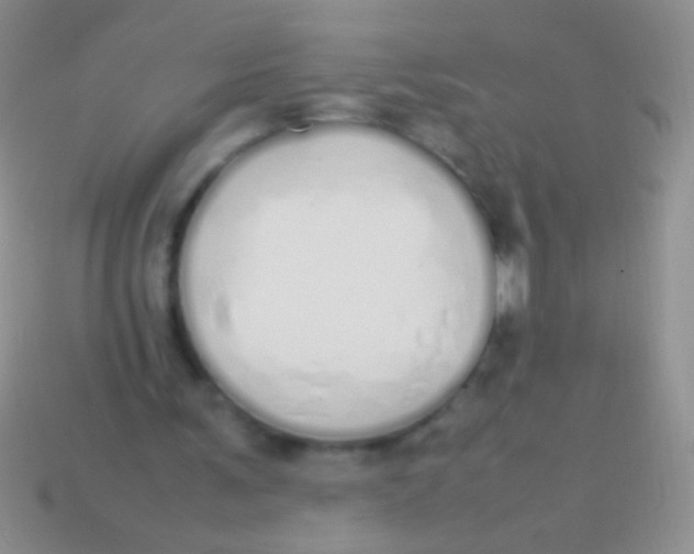 X0000113620291200910161959