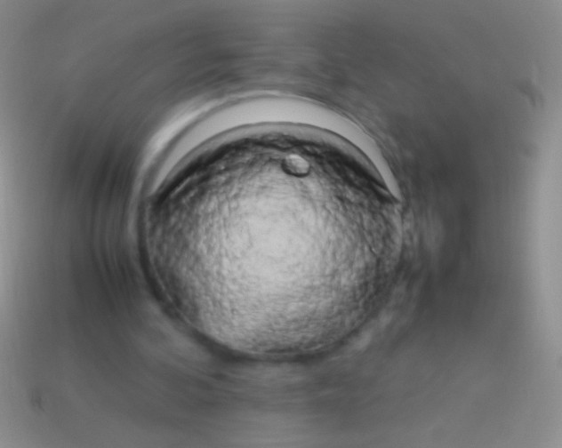 X0000113620292200910161959