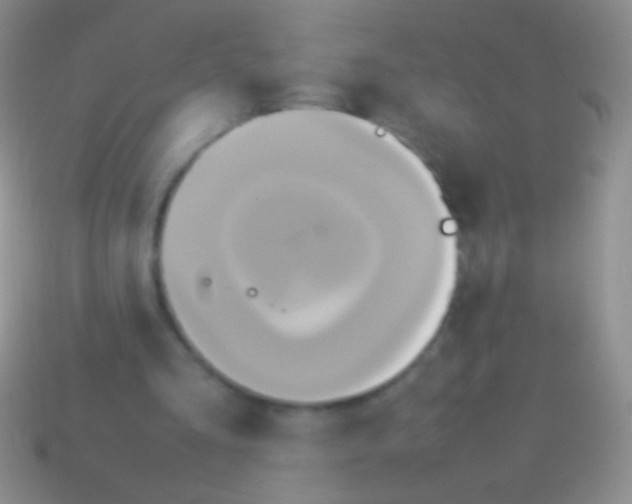 X0000113620293200910161959