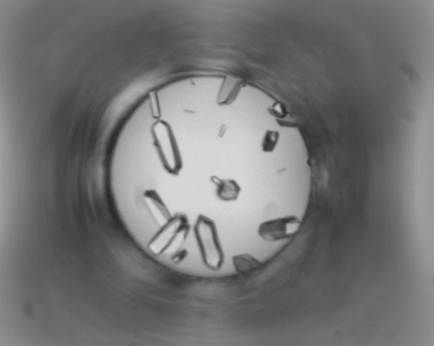 X0000113620294200910161959