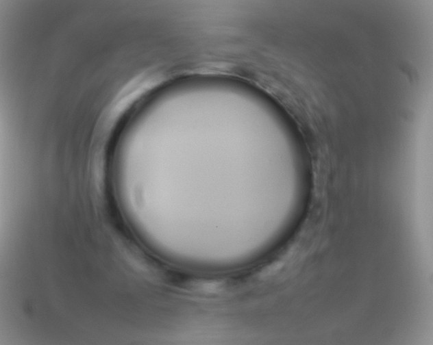 X0000113620295200910161959