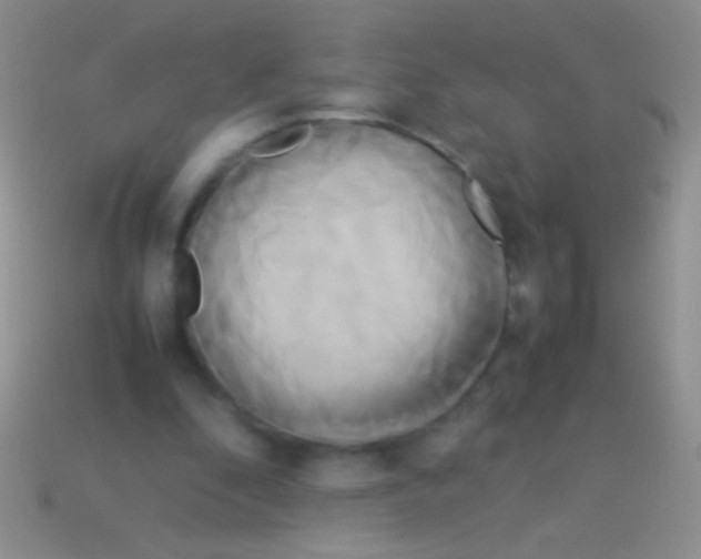 X0000113620296200910161959