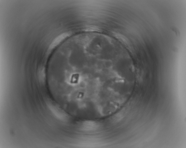 X0000113620298200910161959
