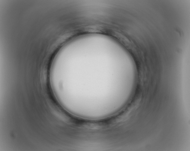 X0000113620299200910161959