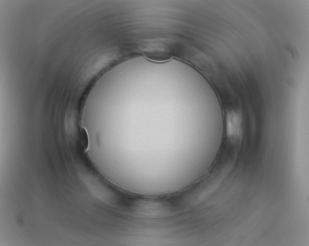 X0000113620300200910161959