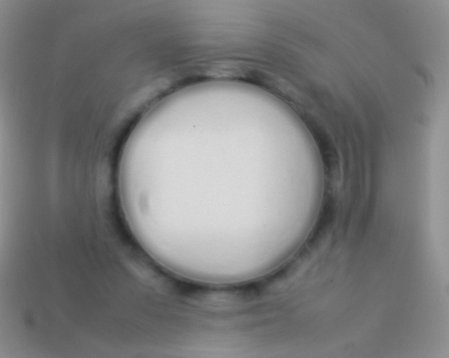 X0000113620303200910161959