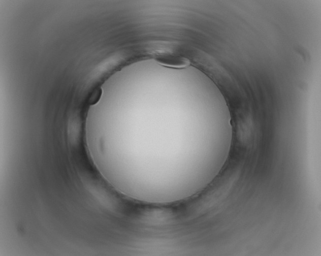 X0000113620304200910161959