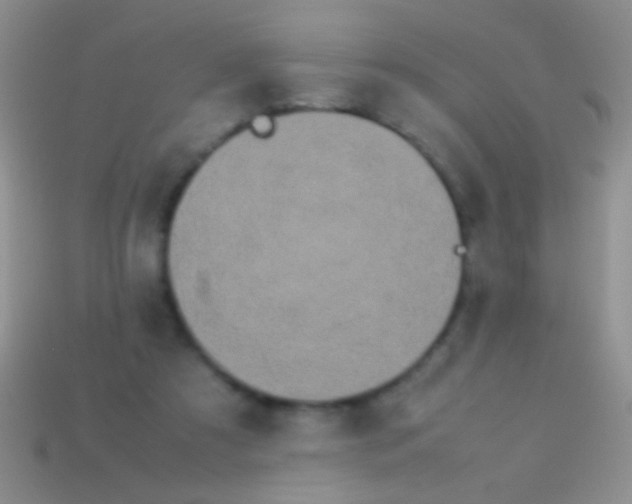 X0000113620305200910161959
