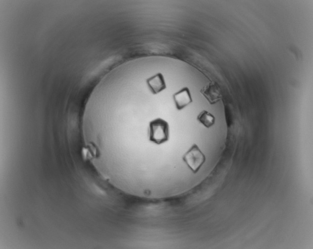 X0000113620306200910161959