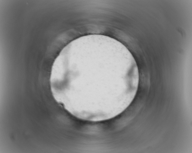 X0000113620307200910161959